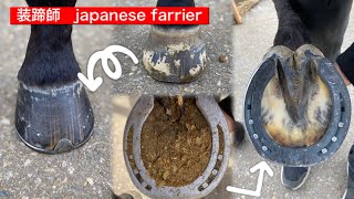 装蹄・削蹄　装蹄師　Japanese farrier