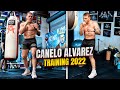 SAUL CANELO ALVAREZ - Training 2022 | Ready for DMITRY BIVOL