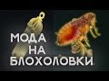 БЛОХОЛОВКА. СРЕДНЕВЕКОВЫЙ ТРЕНД [Шокирующая реальность #72]