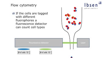 Free Webinar on "Basics of Fluorescence Spectroscopy"