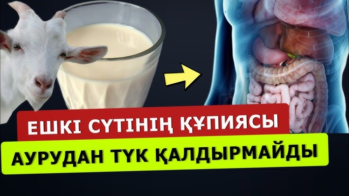 Қыздардың секс видеосы без регистрации Желіде жас әйелдің мүшесі соратын видеосы