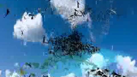 LATTC ANIMATION 3DS MAX ANIMATION