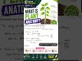 What is Plant Anatomy? | Anatomy of Flowering Plants Class 11