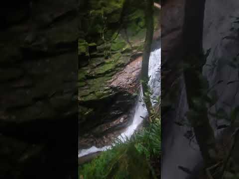 Climbing Bellenden Kers highest canyons. FNQ Wooroonooran.