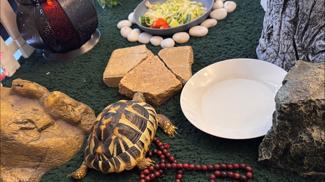 A Daily Prayer for Calm and Strength 