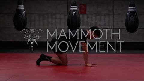 First Knuckle Push Ups