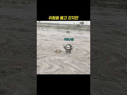 위험을 뚫고 갔지만 thumbnail