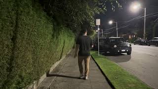 NightLight: Passively Mapping Nighttime Sidewalk Light Data for Improved Pedestrian Routing