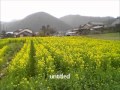 ショパン　即興曲第3番