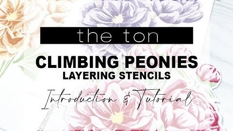 Intro: Climbing Peonies Layering Stencils