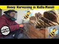 Himalayan Honey  Harvesting ! | Beekeeping in Kullu-Manali | 100% Natural Honey | Himachal Pradesh