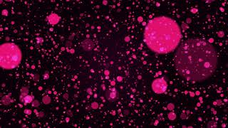 Pink Particles Background | Trapcode Particular Design Showcase