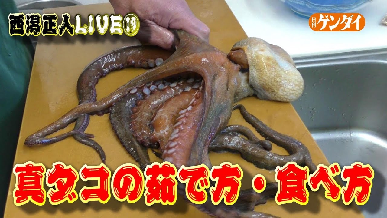 西潟正人 簡単 活きタコのさばき方 後編 生タコを塩で洗う 茹で方 タコ飯 Japanese Octopus Cooking Sashimi Youtube