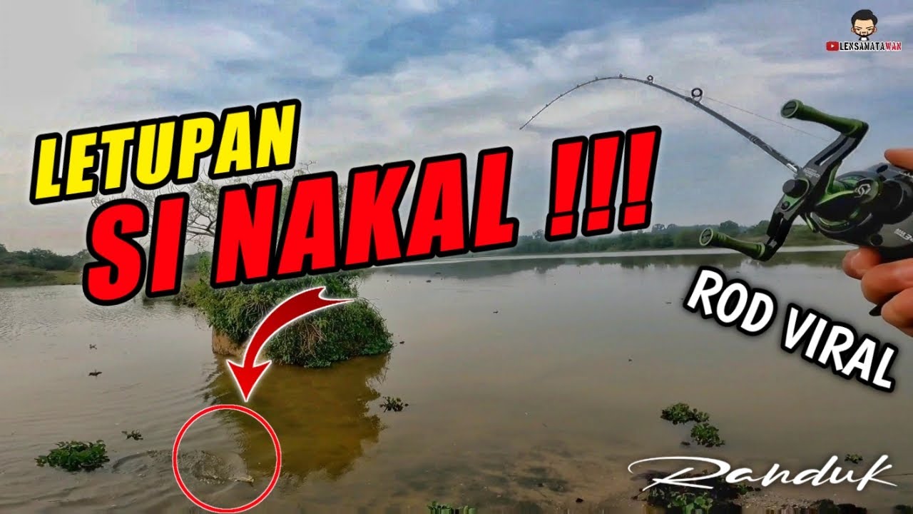Letupan Top Water Peacock Bass Buat Ketagih !! | Ultralight Fishing