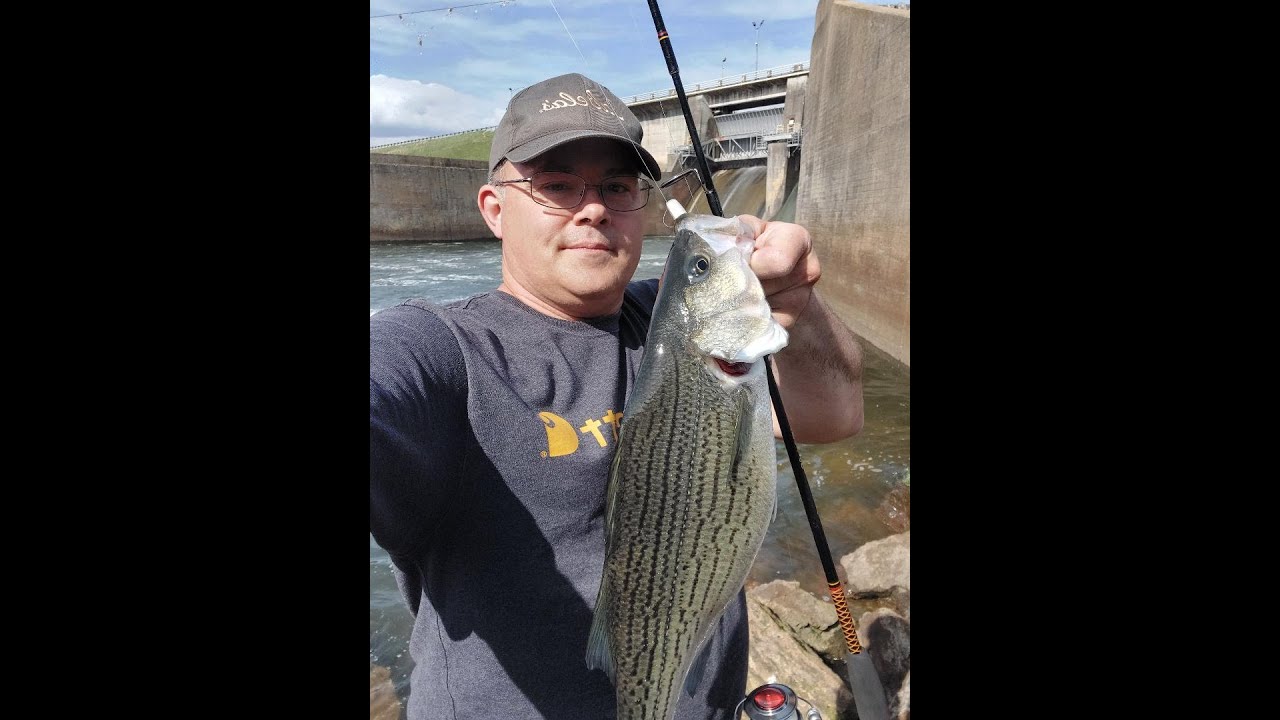 3 AFTERNOONS OF FISHING THE ELK RIVER DAM YouTube