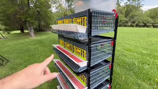 Best Quail Cage On The Market! Review Of Hatching Time Quail Cages Honest Opinion (Not Sponsored)