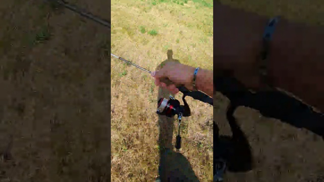 Vivement l'ouverture 🤩 