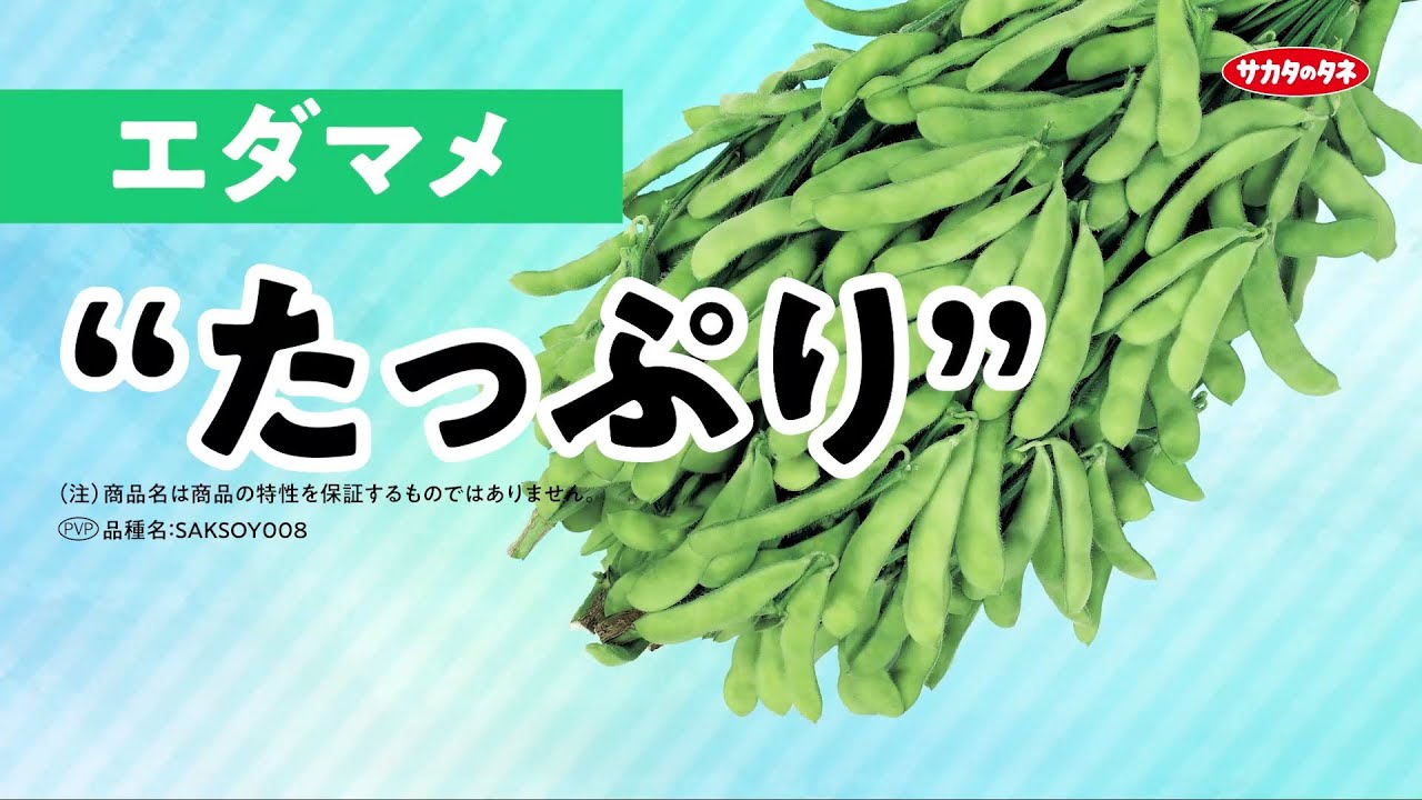 Sakata Seed [Edamame] 