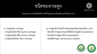 บทที่ 3 ระบบโครงสร้าง Skeleton system