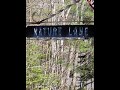 V/L LOT 13 Nature Lane, Ocqueoc, MI - 201839734