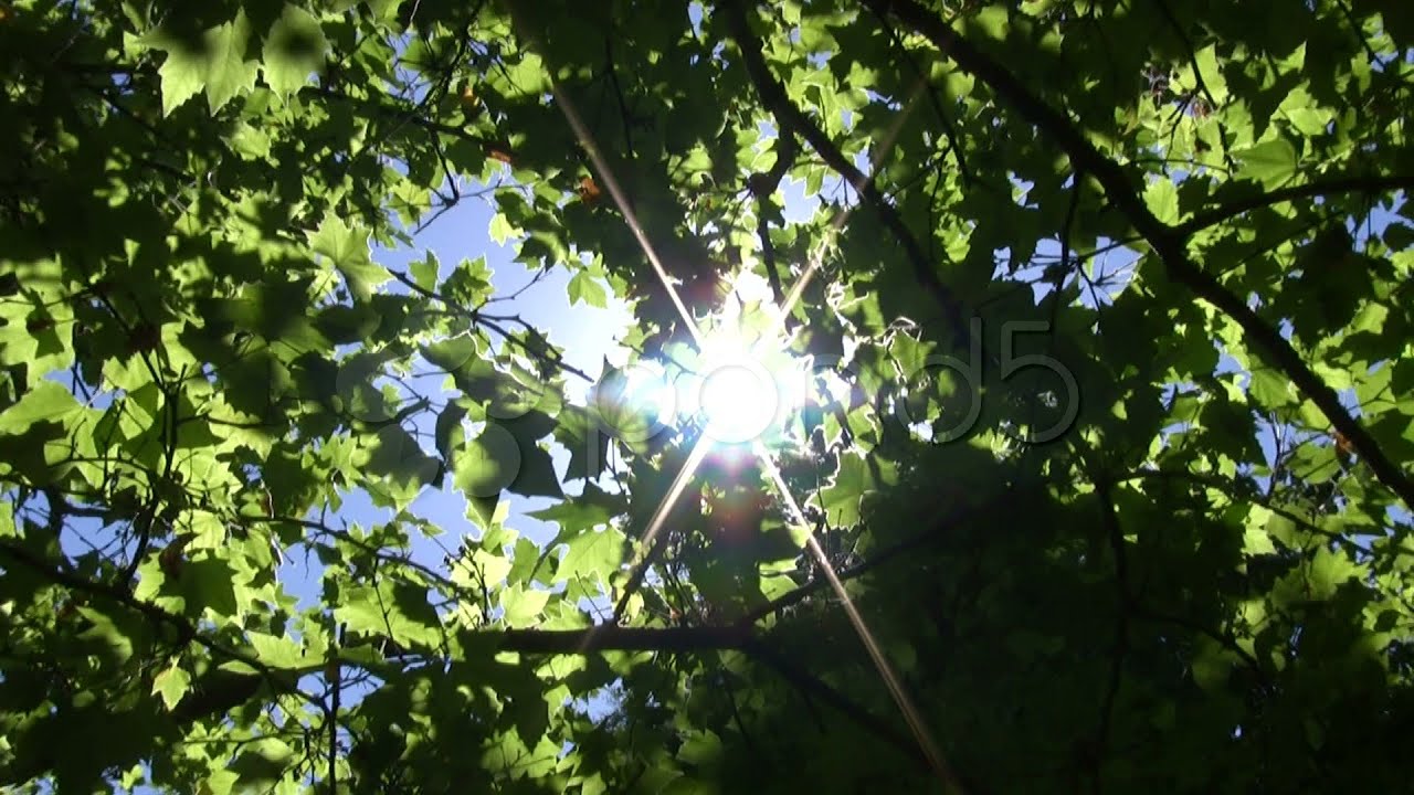 149683 Natural Energy stock footage