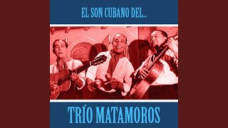 Video thumbnail of "Trio Matamoros - A Usted Qué Le Importa (Remastered)"