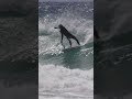 Summer surf in sydney