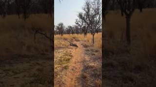 On a trail with Field Guide Hein Myers