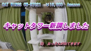 キャットタワー新調しました #16