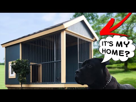 Video: Doggy house for a dog out of the box: ideas, instrucciones para hacer y decorar