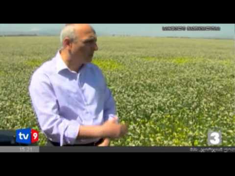 ახალი 3 | პრემიერი ახალქალაქში | 16.08.12