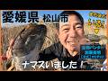 クローン危険外来生物まだいる!愛媛県松山市!みんなで拡散防止!マダラザリガニ Marbled crayfish, Procambarus virginalis ≫生物ハンター加藤英明【公式】かとチャン