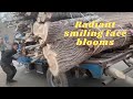 Radiant smiling face blooms!