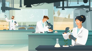 Premium Promo Video | Moodive x Agriwell | 2D Explainer Video