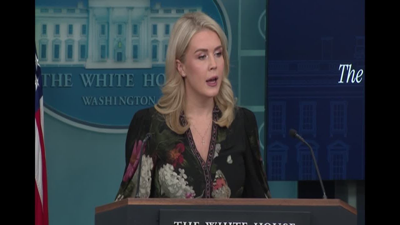 RAW: White House says President Trump 'aware' Dick Cheney died