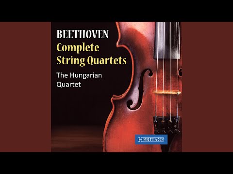 String Quartet No. 8 in E Minor, Op. 59 No. 2 ‘Razumovsky’: III. Allegretto
