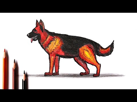 Как нарисовать Собаку немецкую овчарку | Уроки рисования