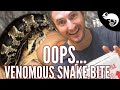 Unboxing a VENOMOUS Dream Reptile - I Get Bit By a Venomous Snake