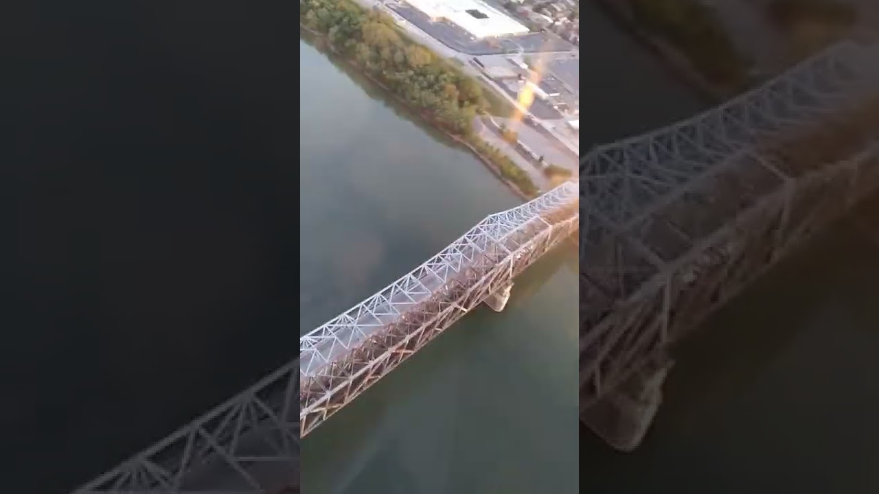 TOP SHELF LIFE!!! Birds eye view