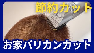 Budget-friendly haircut [Self-cut] How to cut your hair with