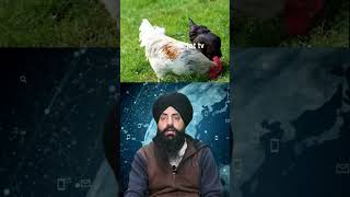 Animal Hypnosis: Amazing Tricks to Calm and Hypnotize Animals #AnimalHypnosis #AnimalTraining