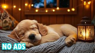 12 Hours of Dog Music 🎶 Healing Music for Dogs & Comforting Tunes for Lonely Puppies Deep Sleep