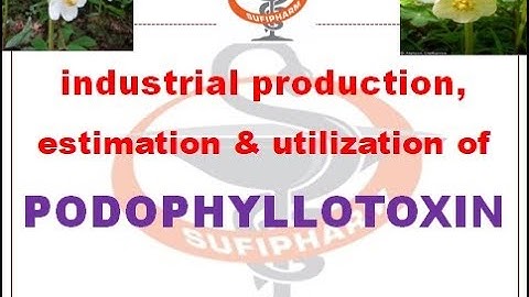 Industrial production estimation and utilization of Podophyllotoxin (Podophyllum)