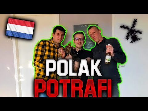 POLAK POTRAFI / WŁASNY BIZNES W HOLANDII