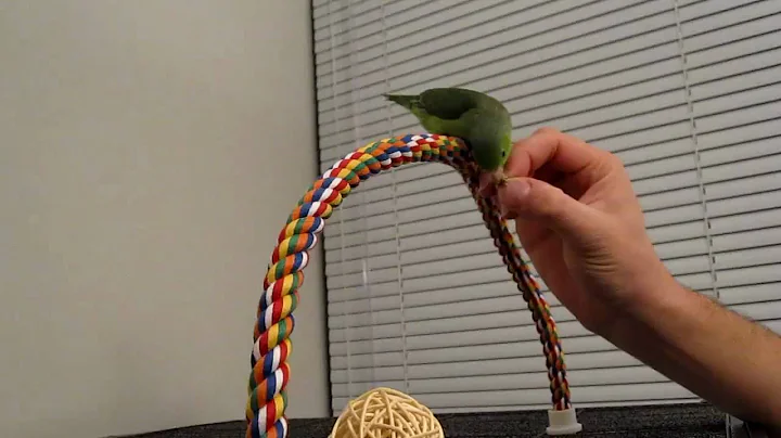 Emily Eating Millet