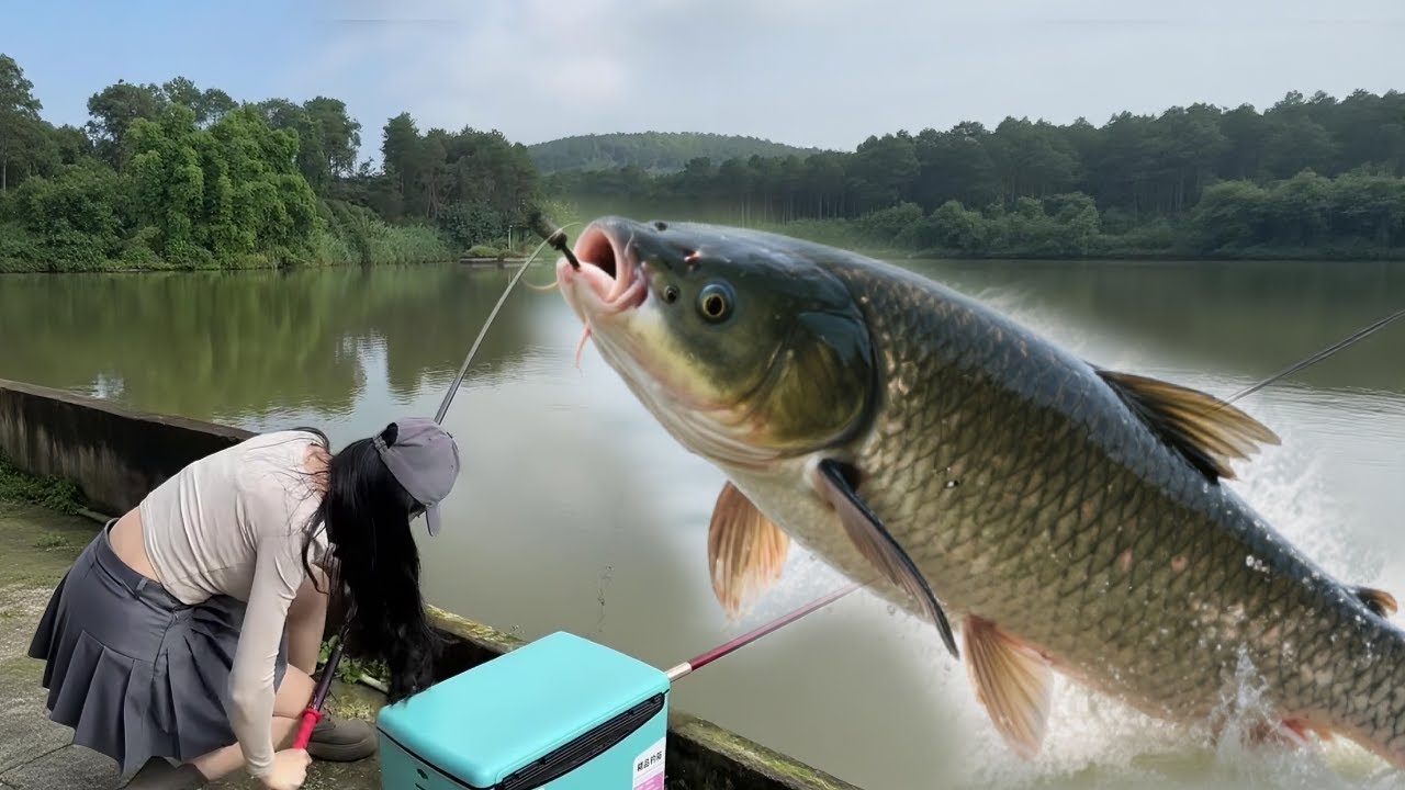 盘黑坑水库嚣张老板！老板小瞧我小身板钓不起大鱼？反手狂钓三条百斤大青鱼，吓得他跪求放过！