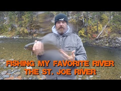 Fishing my Favorite River with the KastKing Perigee II Rod and Sharky 2  Reel 