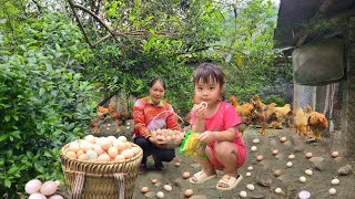 Harvest Eggs to sell - Cook delicious dishes with eggs with your children [ Tieu Dung Bushcraft