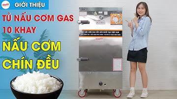 Tủ Nấu Cơm Bằng Gas 10 Khay Việt Nam - Nấu Cơm Chín Đều, Giữ Nhiệt Ổn ĐỊnh I Điện Máy NEWSUN