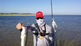 When down south of the border to do some bass fishing on famous
bassmaster classic slam falcon lake. this video will show you tips and
did t...